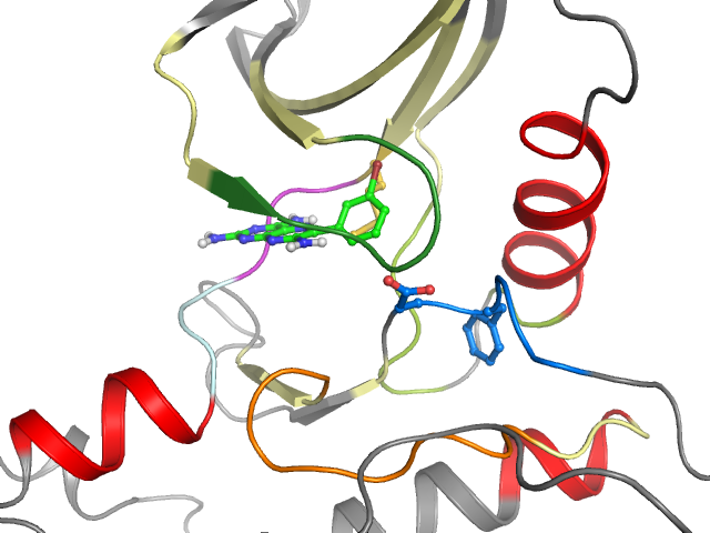 The orthosteric binding pocket