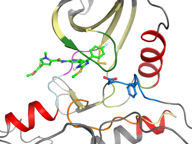 The orthosteric binding pocket