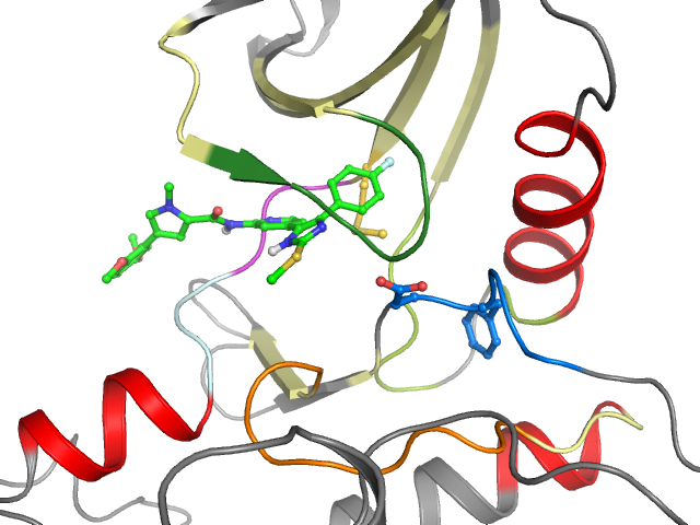 The orthosteric binding pocket