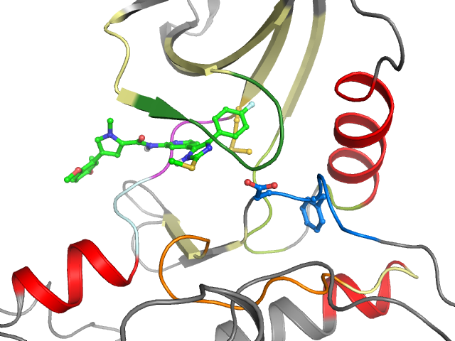 The orthosteric binding pocket