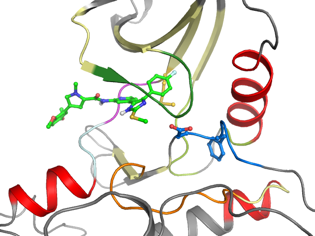 The orthosteric binding pocket