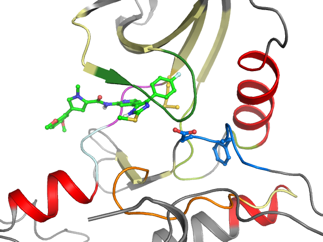 The orthosteric binding pocket
