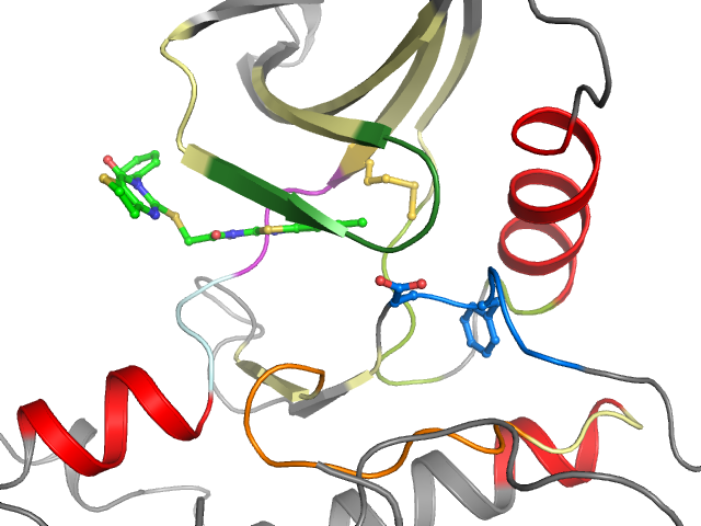 The orthosteric binding pocket