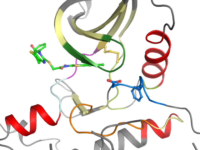 The orthosteric binding pocket
