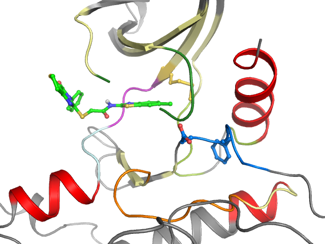 The orthosteric binding pocket