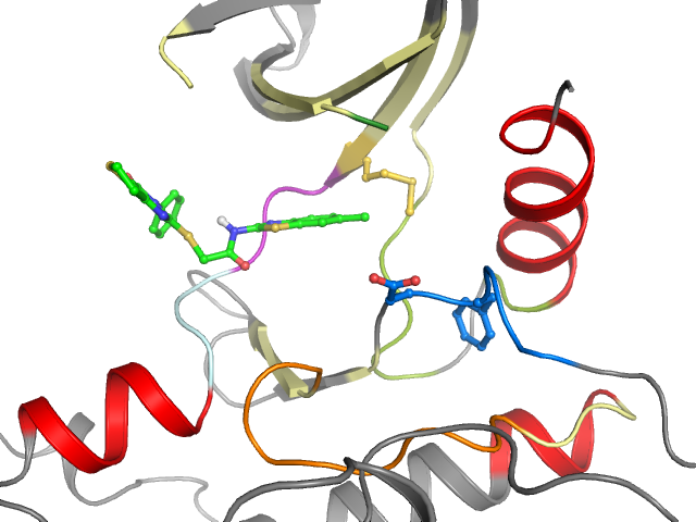 The orthosteric binding pocket