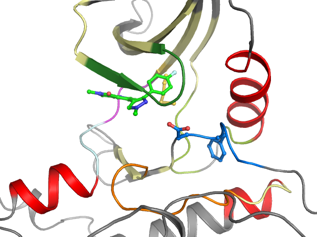 The orthosteric binding pocket