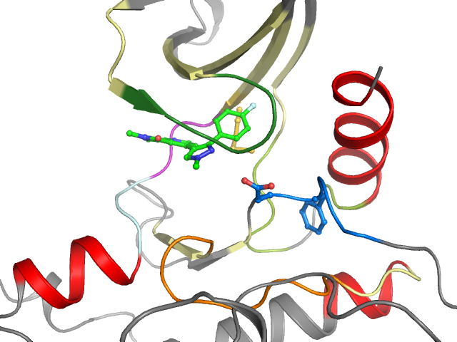 The orthosteric binding pocket