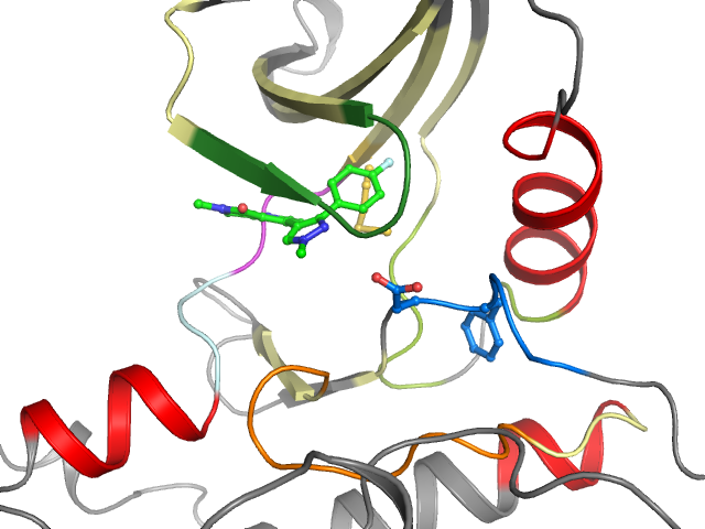 The orthosteric binding pocket
