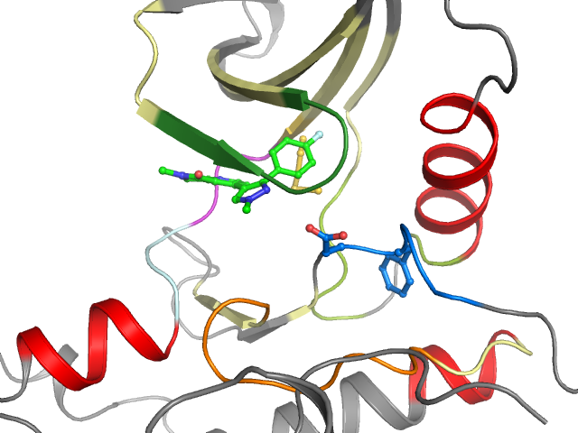 The orthosteric binding pocket