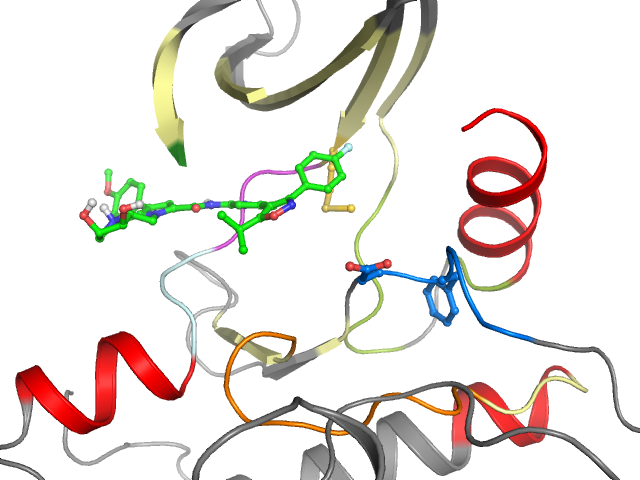The orthosteric binding pocket