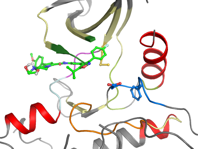 The orthosteric binding pocket