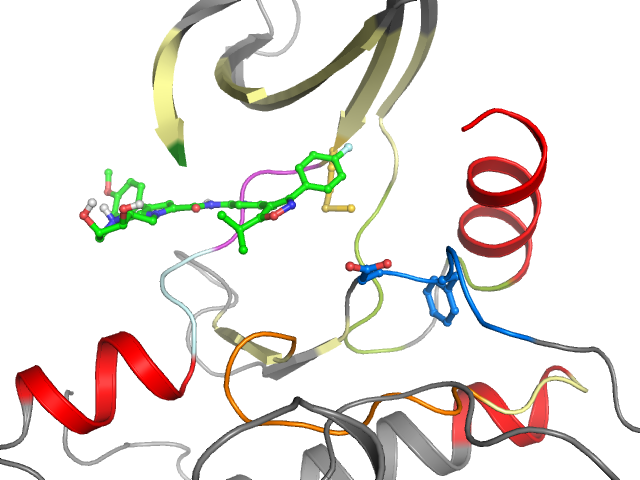 The orthosteric binding pocket