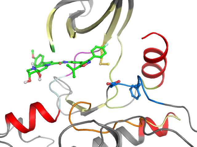 The orthosteric binding pocket