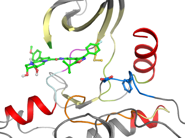 The orthosteric binding pocket