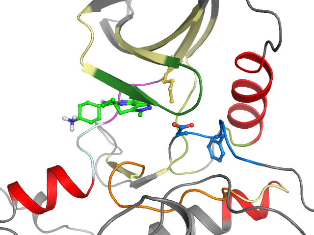 The orthosteric binding pocket
