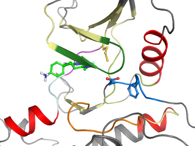 The orthosteric binding pocket