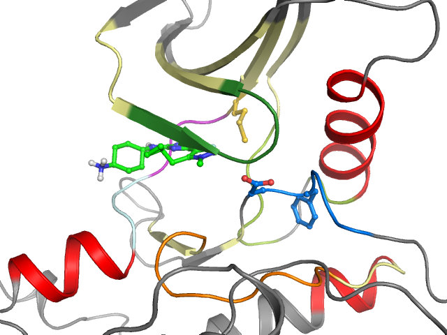 The orthosteric binding pocket