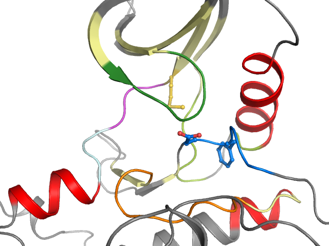 The orthosteric binding pocket