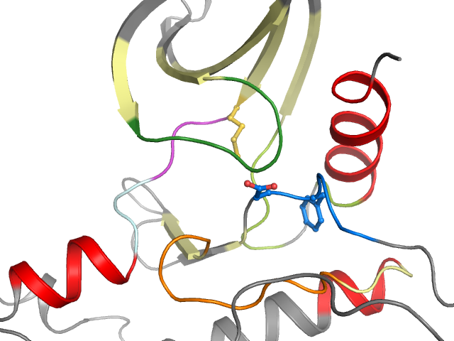 The orthosteric binding pocket