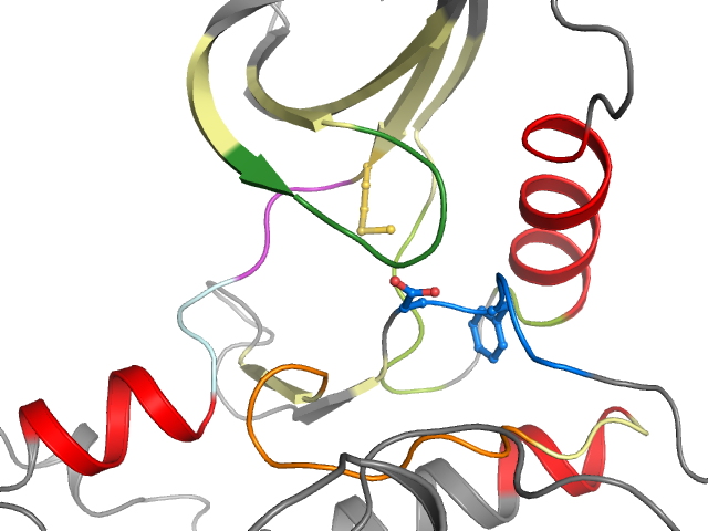 The orthosteric binding pocket