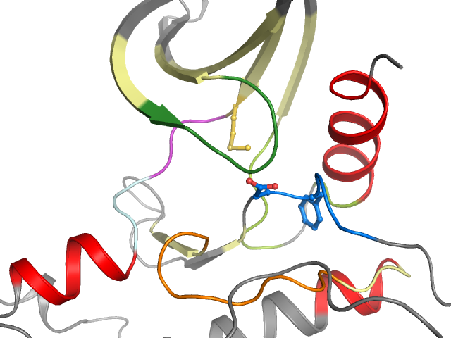 The orthosteric binding pocket