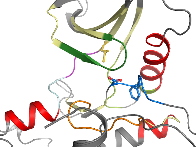The orthosteric binding pocket
