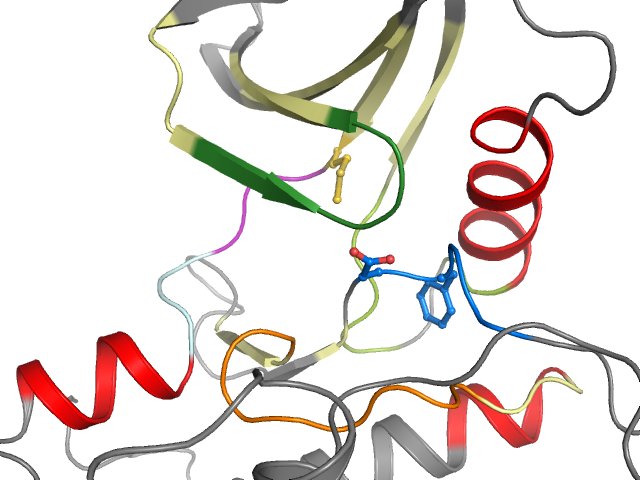 The orthosteric binding pocket