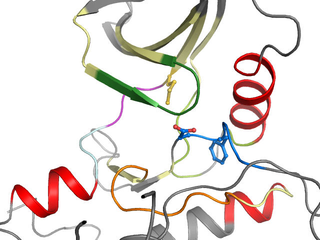 The orthosteric binding pocket