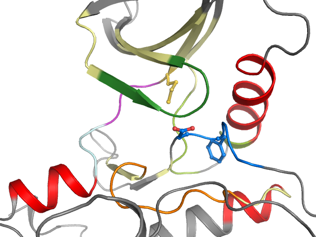 The orthosteric binding pocket