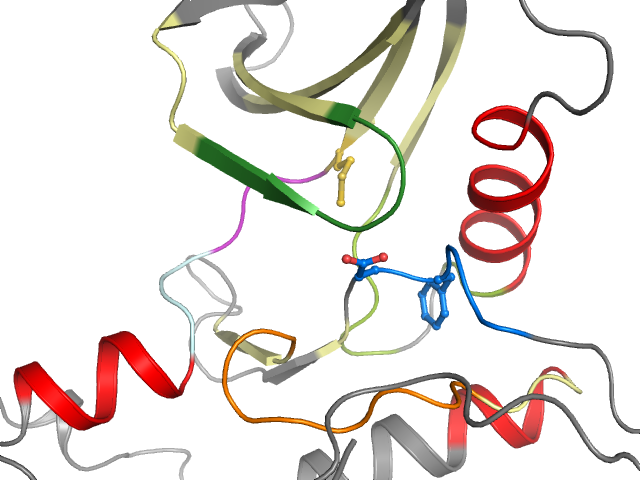 The orthosteric binding pocket