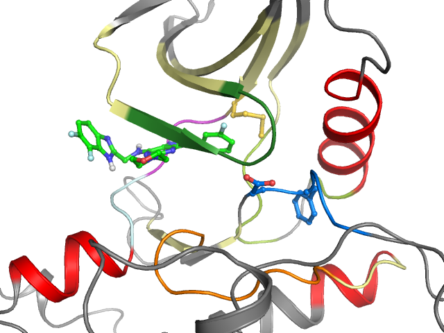 The orthosteric binding pocket