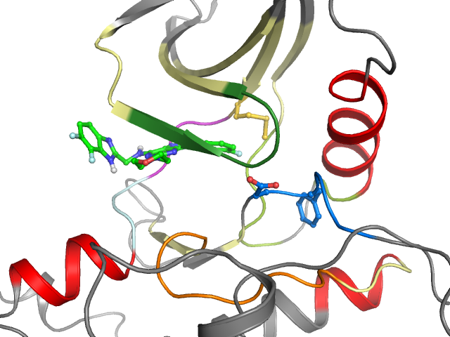 The orthosteric binding pocket
