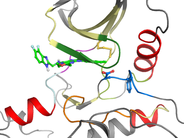 The orthosteric binding pocket