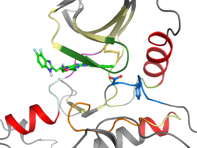 The orthosteric binding pocket