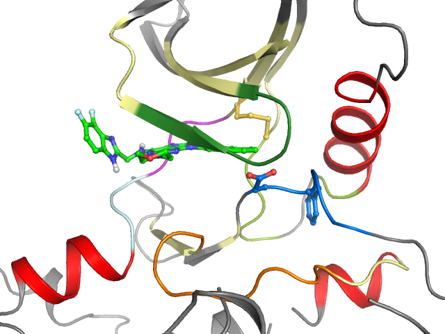 The orthosteric binding pocket