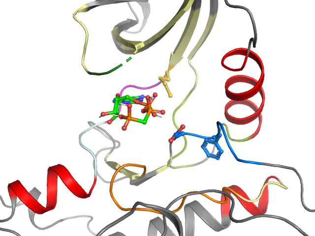 The orthosteric binding pocket
