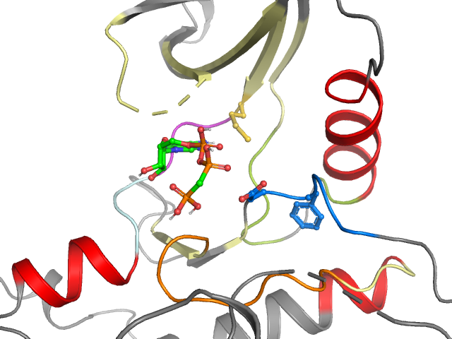 The orthosteric binding pocket