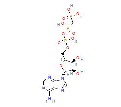2D structure of the orthosteric ligand