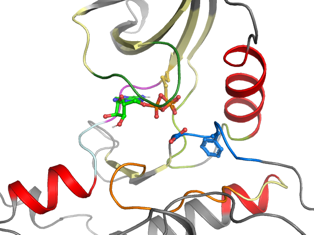 The orthosteric binding pocket