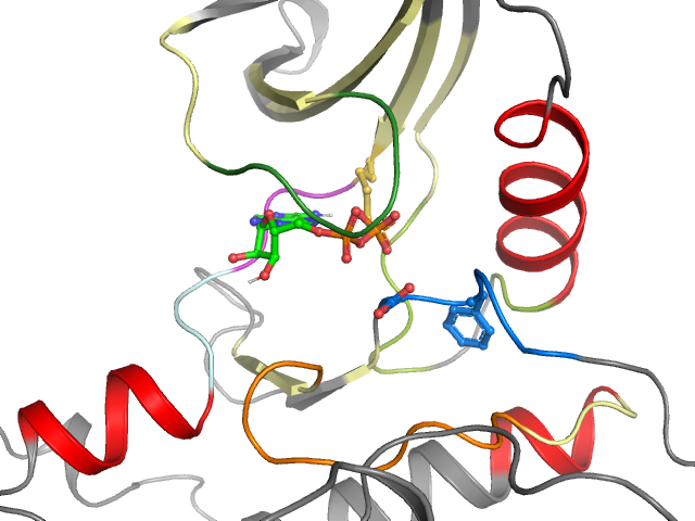 The orthosteric binding pocket