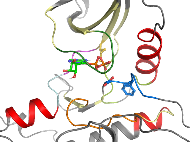 The orthosteric binding pocket