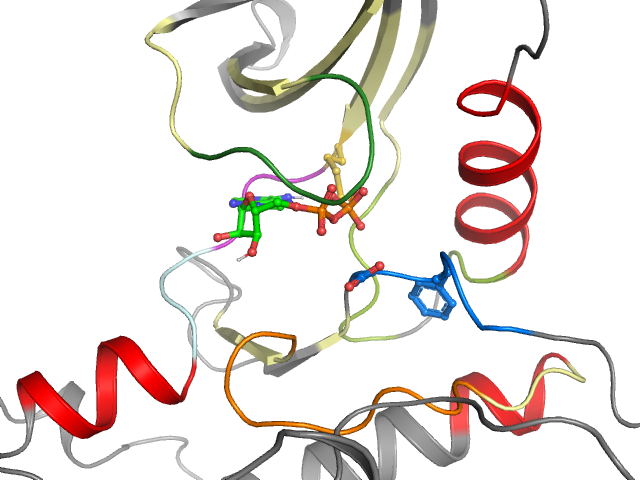 The orthosteric binding pocket