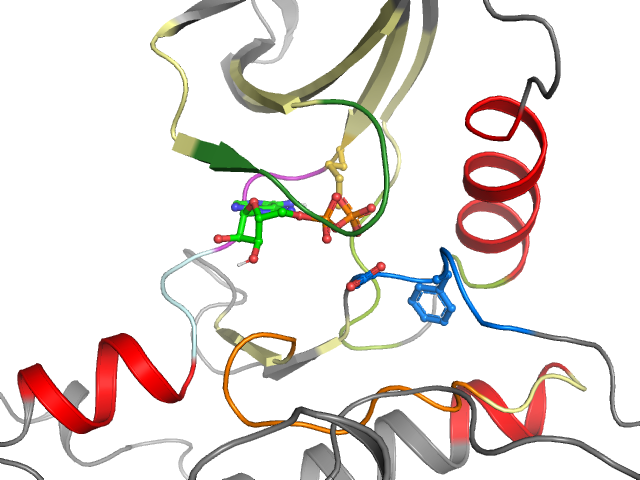 The orthosteric binding pocket