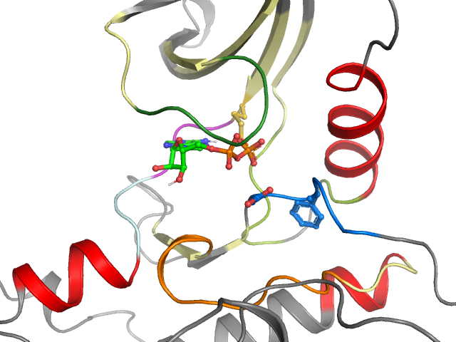 The orthosteric binding pocket