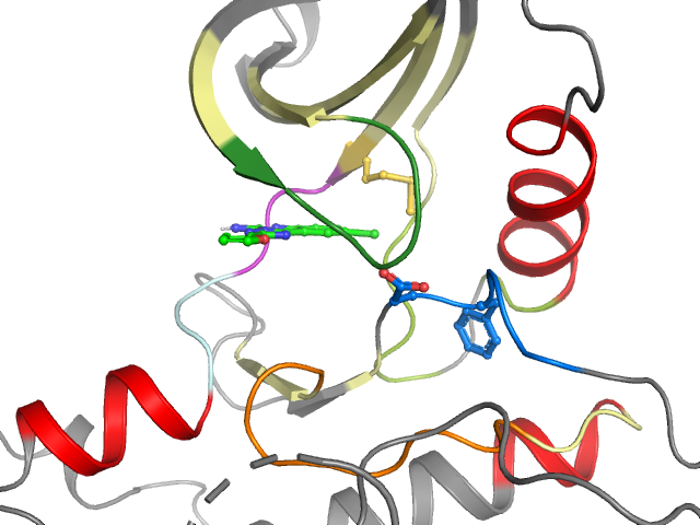 The orthosteric binding pocket