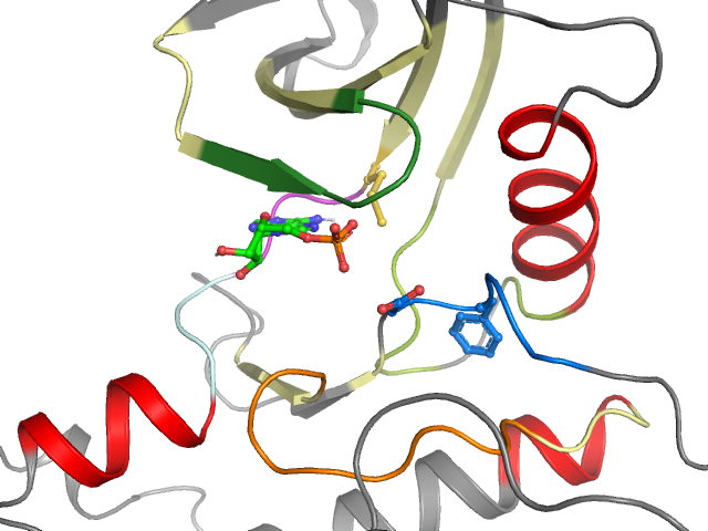 The orthosteric binding pocket
