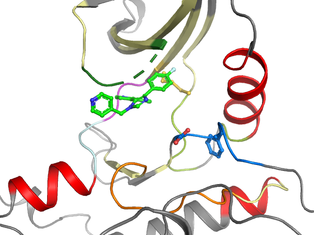The orthosteric binding pocket