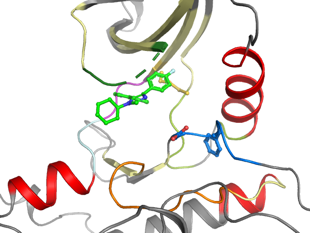 The orthosteric binding pocket