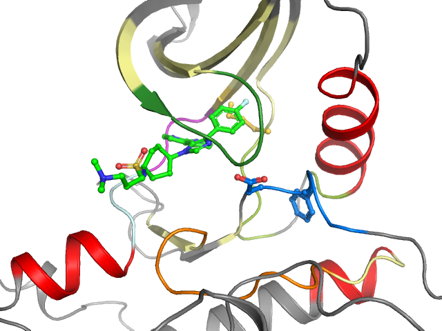 The orthosteric binding pocket